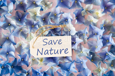 Hydrangea Flat Lay, Text Save Nature, Blossom Texture