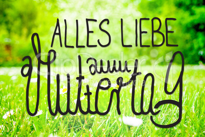Spring Meadow, Daisy, Calligraphy Muttertag Means Happy Mothers Day