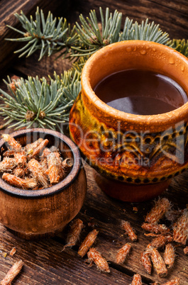 Tea with pine buds