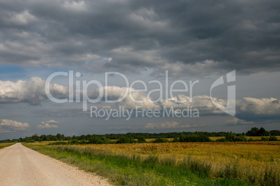 Landscape with empty rural road.