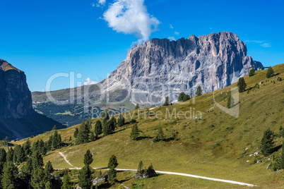 the Sassolungo - Langkofel group, valley Gardena. Dolomites, Italy
