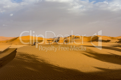 In the dunes of Erg Chebbi near Merzouga in southeastern Morocco.