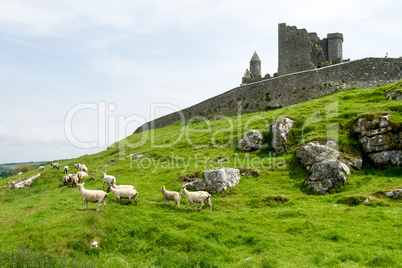 The Rock of Cashel, County Tipperary in Ireland.