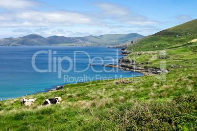 Landscape view in West Kerry, Beara peninsula in Ireland