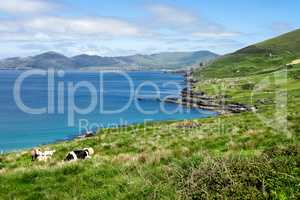 Landscape view in West Kerry, Beara peninsula in Ireland