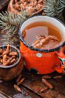 Tea with pine buds