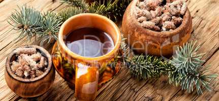 Tea with pine buds