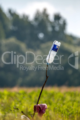 Plastic bottle in green field.