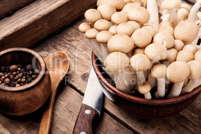 Mushrooms for cooking