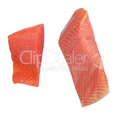 Two Piece of Red Fish Fillet Isolated on White