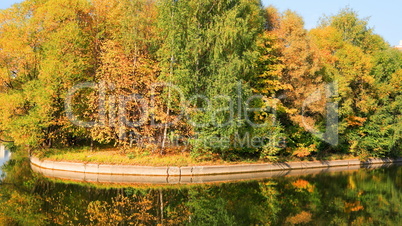 pond at autumn