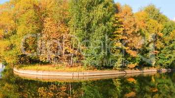 pond at autumn