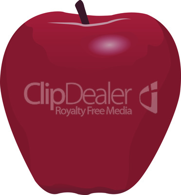A red apple vector illustration