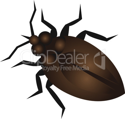 bug vector illustration design icon
