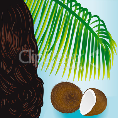 Coconut tropical nut fruit palm leaf and beauty girl hair