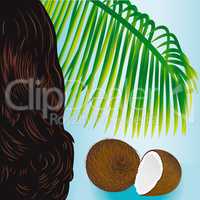 Coconut tropical nut fruit palm leaf and beauty girl hair