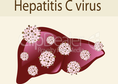 Hepatitis C virus attack the liver