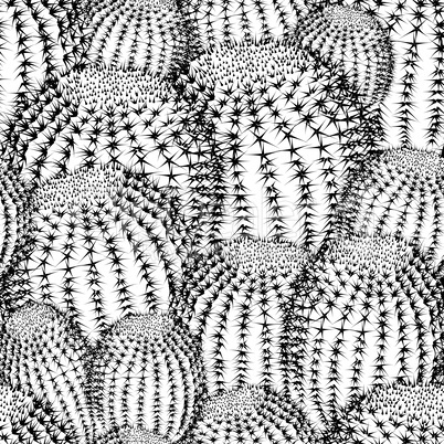 Cactus plants texture seamless pattern background