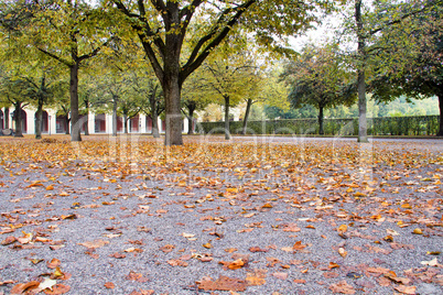 walking in Hofgarten Park in Munich on a autumn day, Germany
