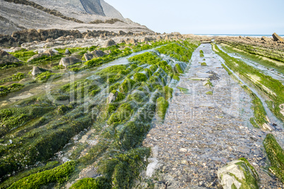 The Flysch Coast of Sakoneta, Zumaia - Basque Country, Spain