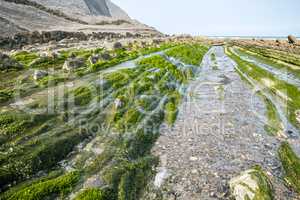 The Flysch Coast of Sakoneta, Zumaia - Basque Country, Spain