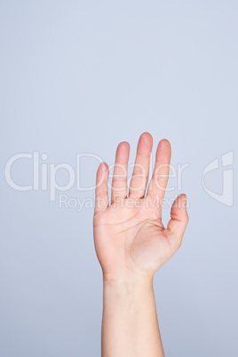 female hand raised up on a white background