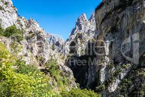 the Cares trail, garganta del cares, in the Picos de Europa Mountains, Spain