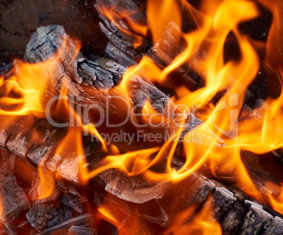 burning wooden logs and large orange flame