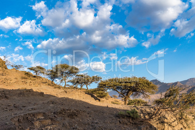 Landscape between Gheralta and Lalibela in Tigray, Ethiopia, Africa