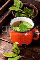 Cup of herbal tea with bay leaf