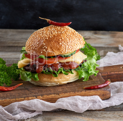 fresh homemade burger with lettuce, cheese, onion and tomato