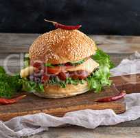 fresh homemade burger with lettuce, cheese, onion and tomato