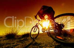 Sport and mountain bike