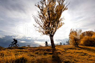 park and healthy life