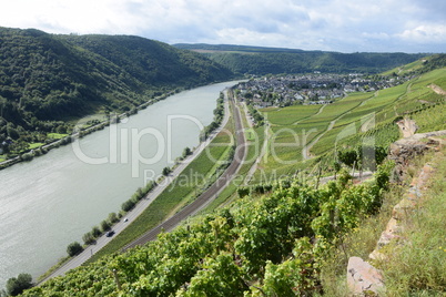 Mosel bei Winningen