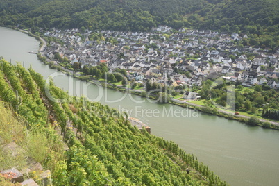 Mosel bei Koblenz-Lay