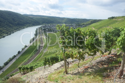 Mosel bei Winningen