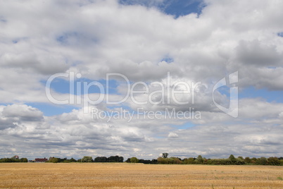 Acker mit Wolkenhimmel