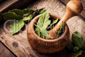 Aromatic bay leaves