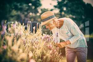 Senior woman smelling flowers