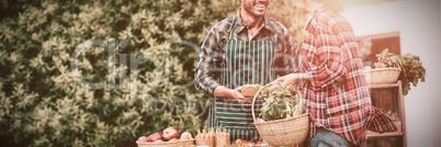 Woman buying organic vegetables from man