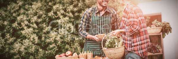 Woman buying organic vegetables from man