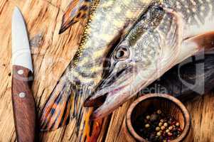 Fish pike on the kitchen board