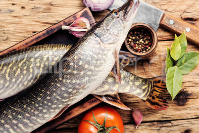 Fresh uncooked pike