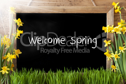 Sunny Narcissus, Chalkboard, English Text Welcome Spring