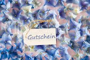 Hydrangea Flat Lay, Gutschein Means Voucher, Blossom Texture