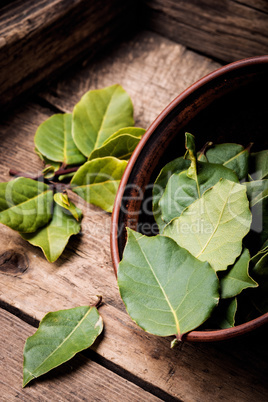 Bay leaf on a wooden surface