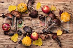 Forest raw mushrooms