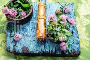 Clover in herbal medicine