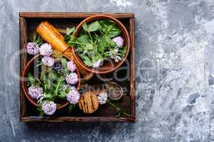 Clover in herbal medicine